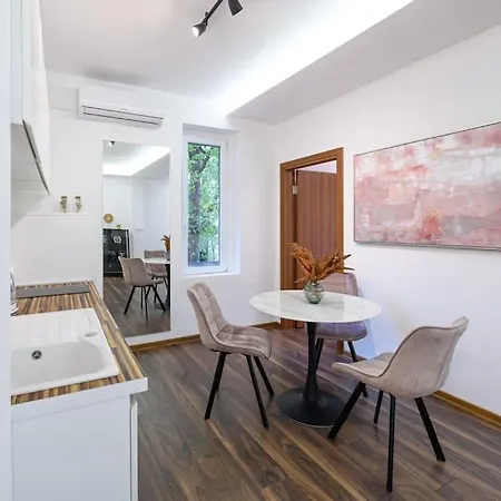 Dedinje Apartment *
