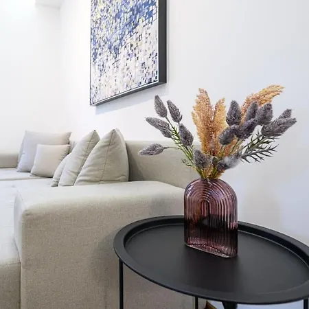Apartment Dedinje *